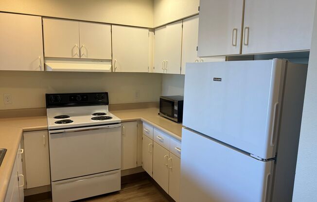 1 bed, 1 bath, 750 sqft, $1,300, Unit 306