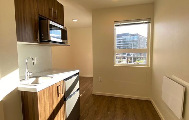 Studio, 1 bath, 178 sqft, $1,125, Unit 313