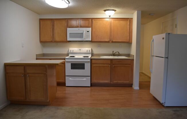 Studio, 1 bath, $1,175