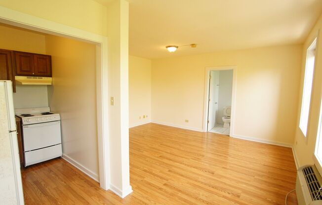 1 bed, 1 bath, 501 sqft, $1,495, Unit 102