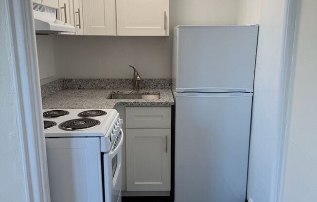 Studio, 1 bath, 301 sqft, $1,350, Unit Wellington 604