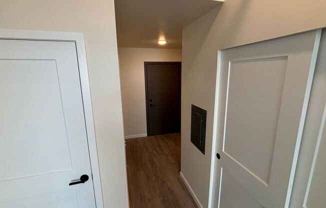 Studio, 1 bath, 398 sqft, $1,250, Unit 203