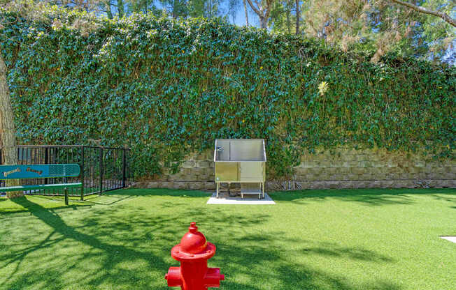 A red fire hydrant is in the middle of a green lawn.