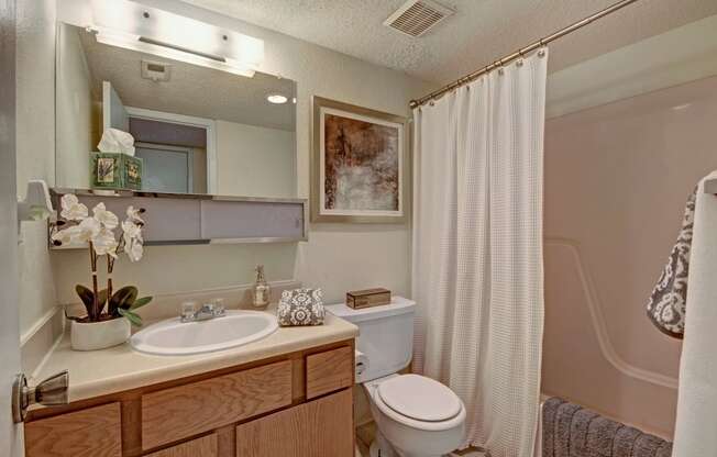 Trinity Place Bathroom Midland Texas Apartment