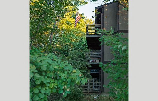 a house in the woods with a flag