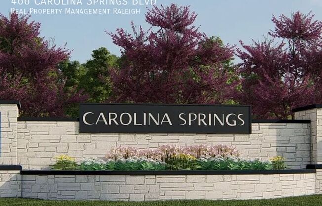466 CAROLINA SPG BLVD