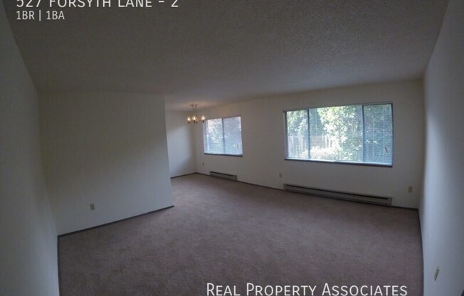 527 FORSYTH LN