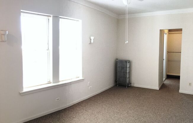 Studio, 1 bath, 233 sqft, $1,100, Unit 207