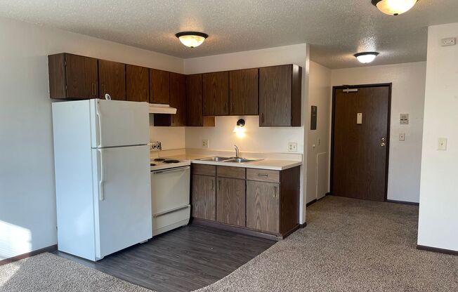 Studio, 1 bath, 325 sqft, $525, Unit 1929-17