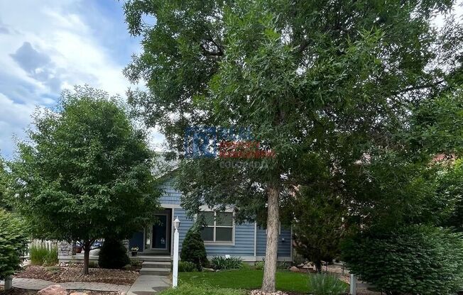 1996 WINDOM PL