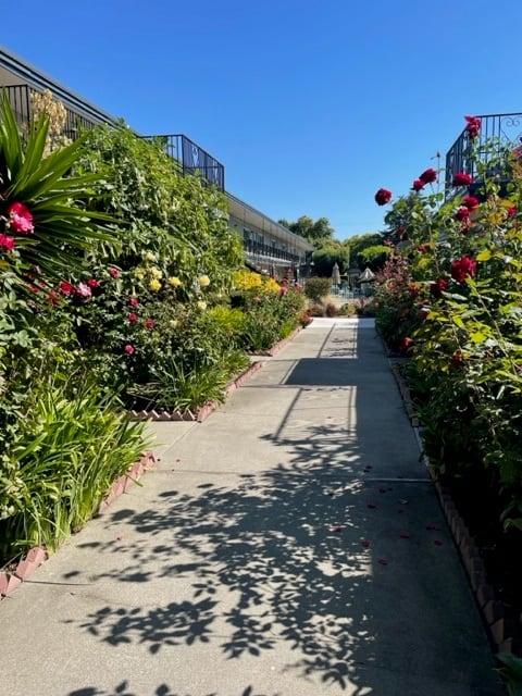 Colonial House Apartments