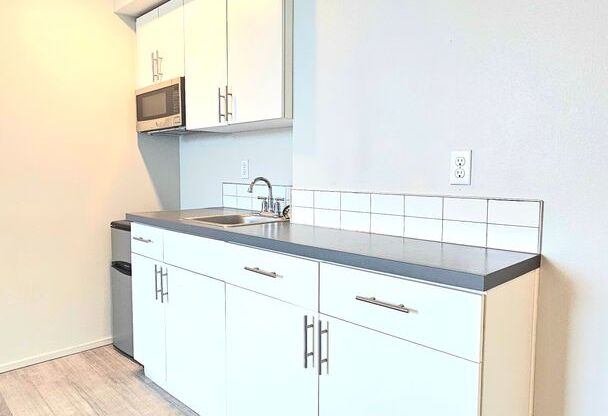 Studio, 1 bath, 197 sqft, $915, Unit 407