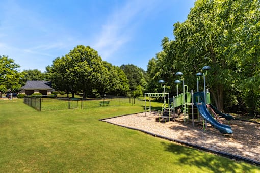 a playground with a slide in a park with trees