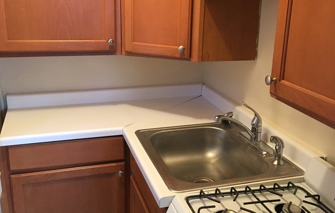 Studio, 1 bath, $775, Unit 101