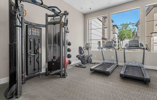 A well equipped gym with treadmills, weights and exercise machines.