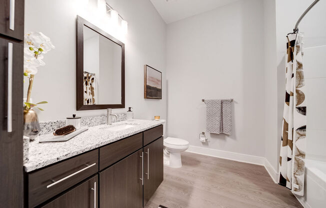 a bathroom with a large mirror and a toilet