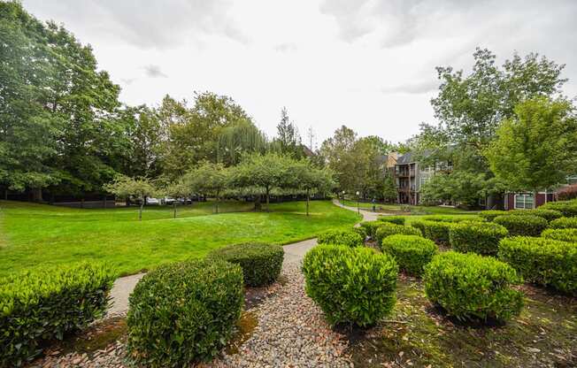 A garden with green bushes and a gravel path.