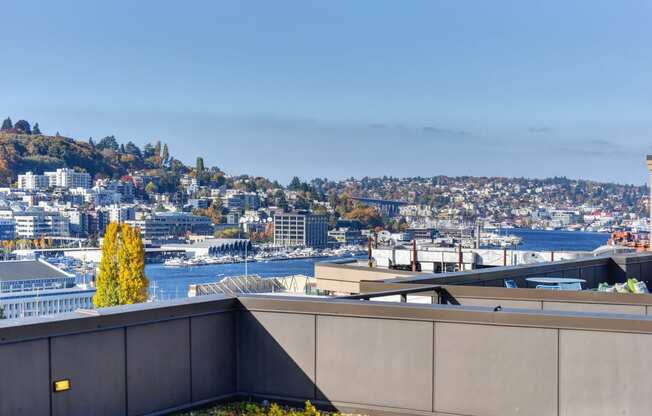 Rooftop View of Ocean, Building Exteriors and Trees