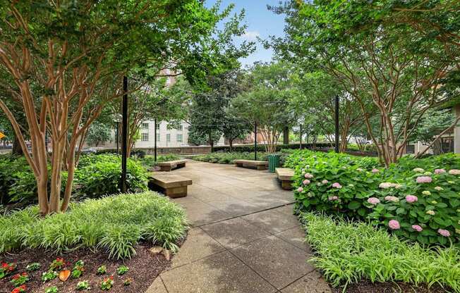 A garden with a concrete walkway and a variety of plants and trees.