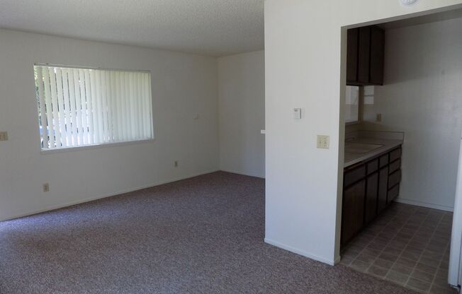 0136  3175 Camellia Court