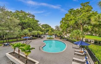 A pool surrounded by palm trees and lounge chairs.