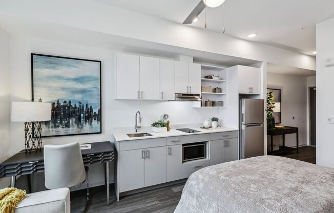 Studio, 1 bath, 308 sqft, $1,450, Unit 534