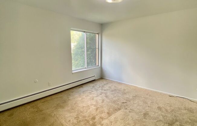 1 bed, 1 bath, 800 sqft, $1,145, Unit 36