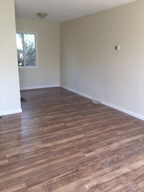 2419 Rockefeller Lane
