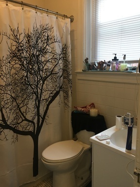 1 bed, 1 bath, 500 sqft, $1,395, Unit 301