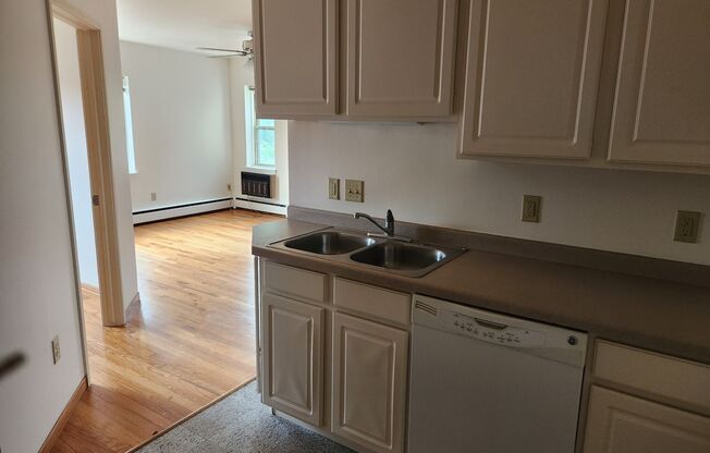 1 bed, 1 bath, 473 sqft, $1,430