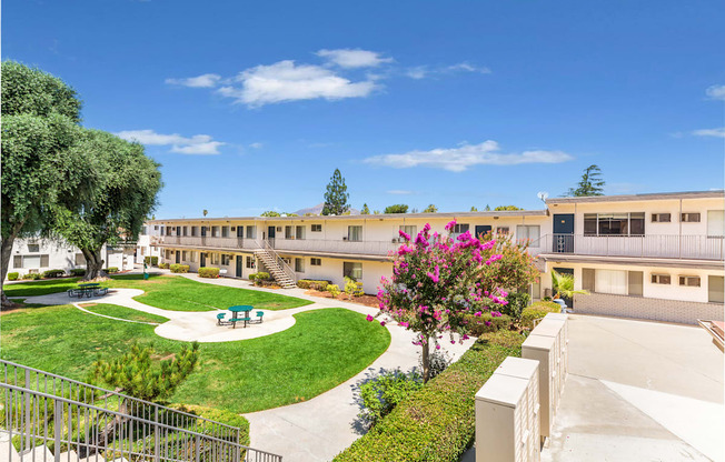 A courtyard with a green lawn and a pink flowering tree.