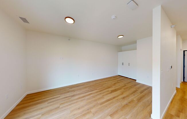 Studio, 1 bath, 517 sqft, $910, Unit 5100-303