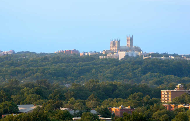 Views of National Cathedral