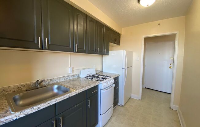 1 bed, 1 bath, 475 sqft, $995, Unit PH07