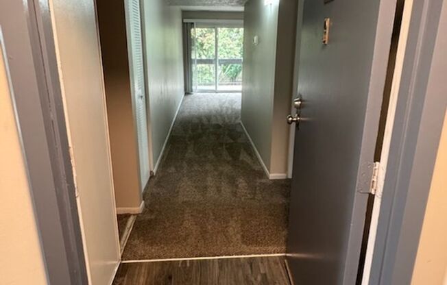 1 bed, 1 bath, 727 sqft, $875