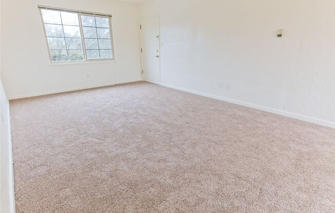 1 bed, 1 bath, 630 sqft, $1,425, Unit 4111 - 3