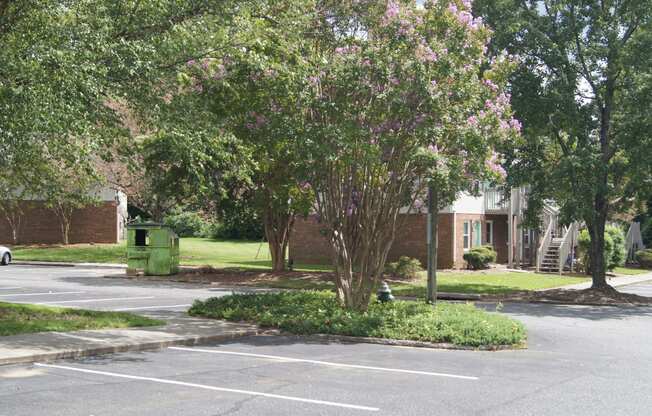 a tree in a parking lot in front of a building