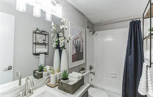 a bathroom with a sink and a toilet and a shower