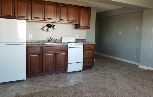 1 bed, 1 bath, 505 sqft, $800, Unit 0901