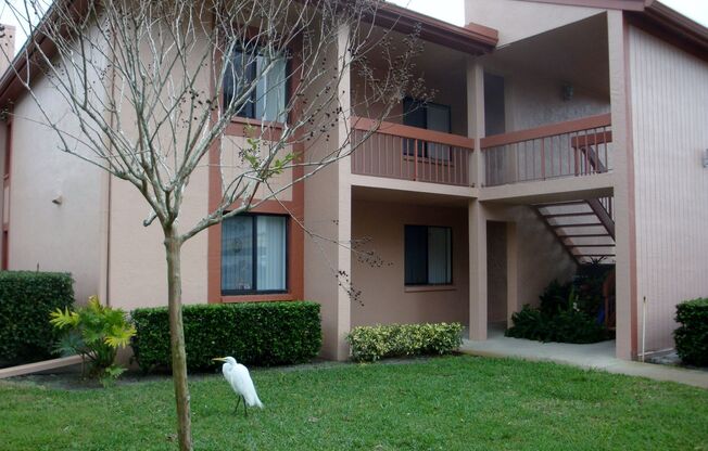 Condo in East Lake Woodlands
