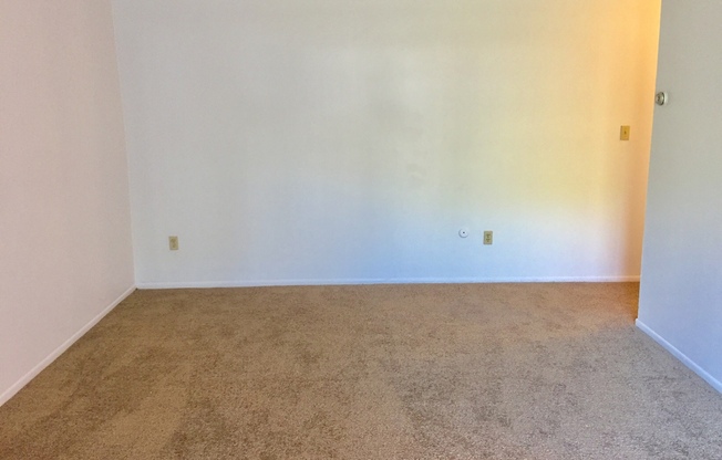 1 bed, 1 bath, 800 sqft, $1,195, Unit 11