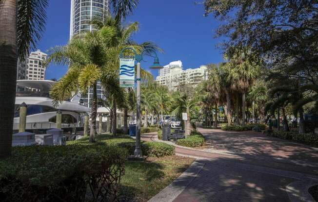 a city street with palm trees and tall buildings