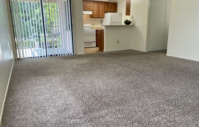 Nicely Updated 2 Bedroom Upstairs Apartment with GARAGE!