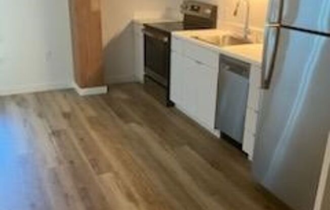 Studio, 1 bath, 344 sqft, $1,399, Unit 217
