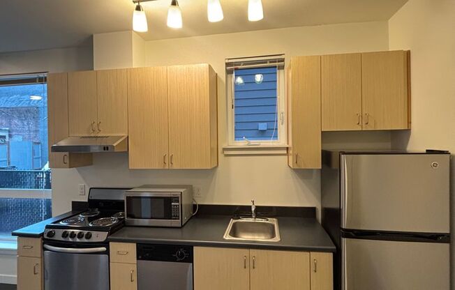 Studio, 1 bath, 247 sqft, $1,400, Unit 108
