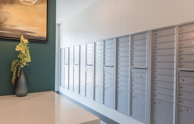 Package Lockers at Vida Kannapolis, Kannapolis, NC