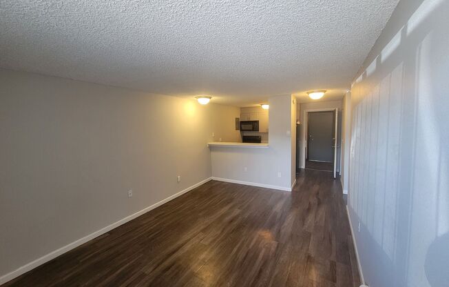 1 bed, 1 bath, 600 sqft, $1,135