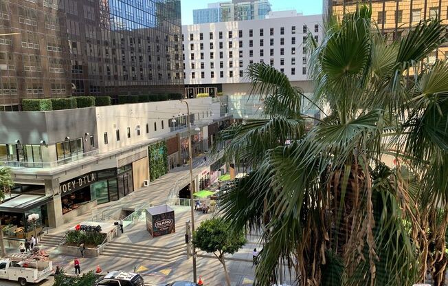 1 bed, 1 bath, 1,036 sqft, $3,149, Unit 512