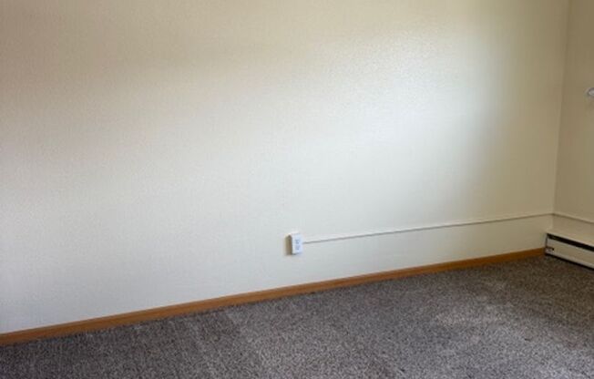 1 bed, 1 bath, 500 sqft, $1,000, Unit 3715-206