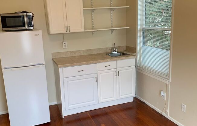 Studio, 1 bath, 195 sqft, $1,895, Unit #2